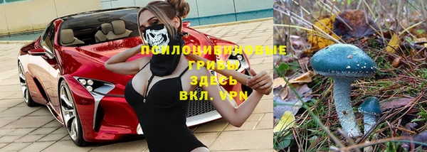 мет Алексин